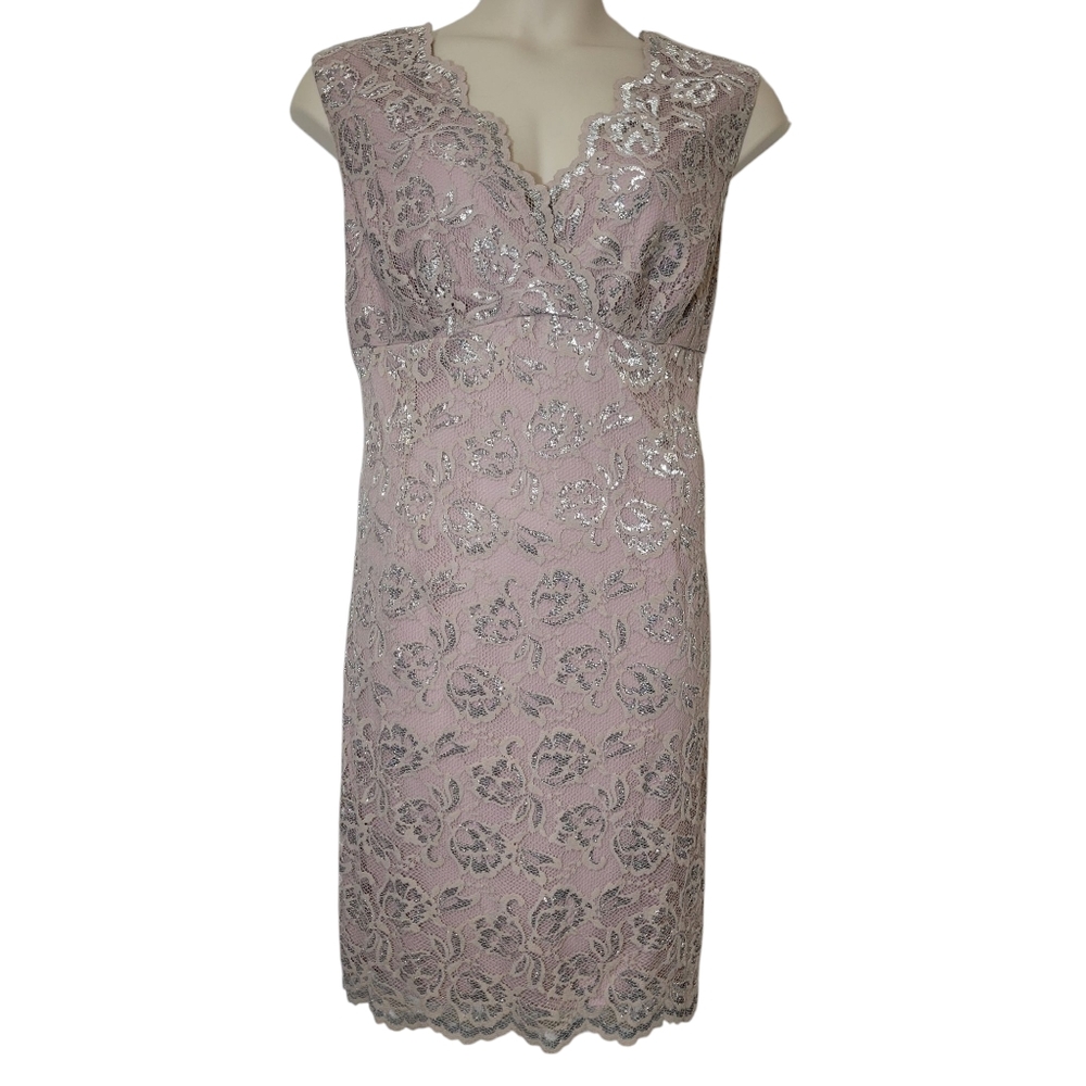 Blu Sage Dusty Pink/Lavender Lace Special Occasion Dress JCPenny Plus 16 NWT